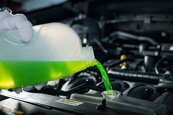 Does Your Car Still Need Antifreeze or Coolant if You Live in a Warm Climate, or Can You Use Water? | Future Auto Service